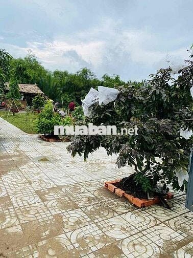 nhà vườn bán xã Phước Lại, Long An