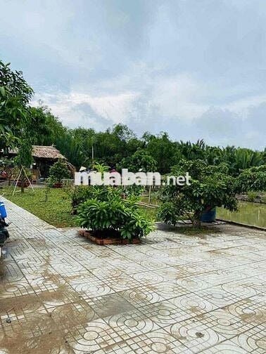 nhà vườn bán xã Phước Lại, Long An