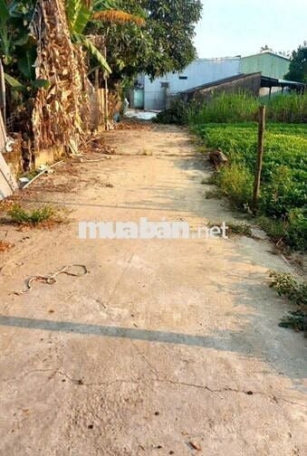 Bán đất đẹp Kiệt ô tô khái tây 1