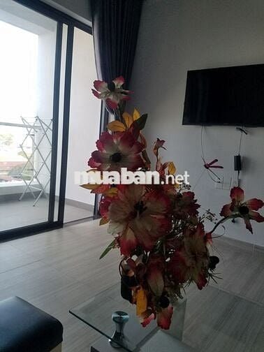 Cho thuê căn hộ chung cư Phú Thọ, Q11,  65m2, 2PN, 9tr