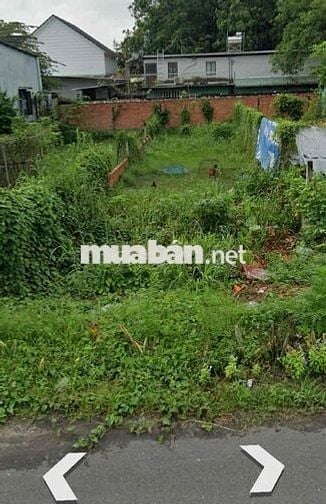 ĐẤT FULL THỔ CƯ 175m2 SỔ HỒNG RIÊNG -XÂY DỰNG TỰ DO