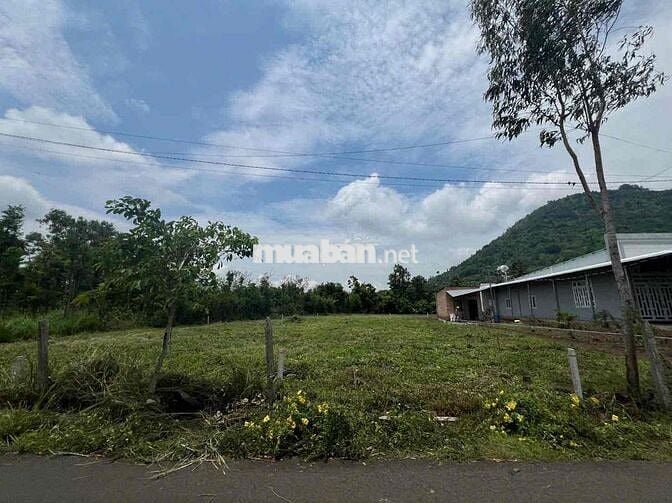 Sổ Riêng Thổ Cư mặt tiền Nhựa 5x33 ngay chân Núi Chứa Chan Xuân Lộc
