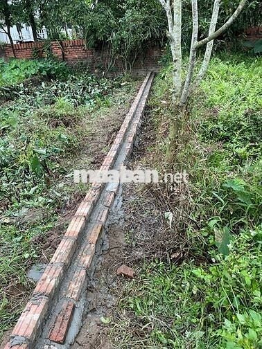 Bán đất 30m2, tổ 17 -Đồng Mai- Hà Đông- HN 3 tỷ, cách vin cao viên 1km
