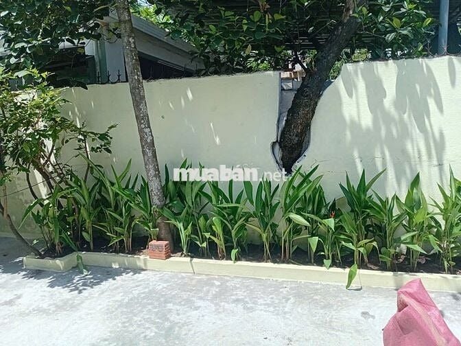 Bán nhà cấp 4 kiệt Lê Văn Thứ Sơn Trà – Đất biển nhưng giá rẻ bất ngờ!