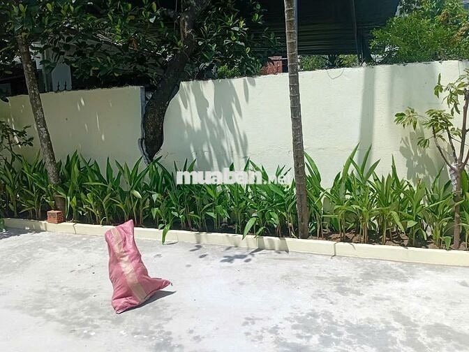 Bán nhà cấp 4 kiệt Lê Văn Thứ Sơn Trà – Đất biển nhưng giá rẻ bất ngờ!