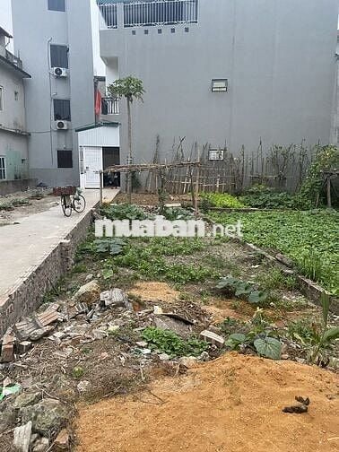 18 Tỷ, đất Thạch Bàn, Long Biên, HN. 81m2, mặt tiền 6m đẹp
