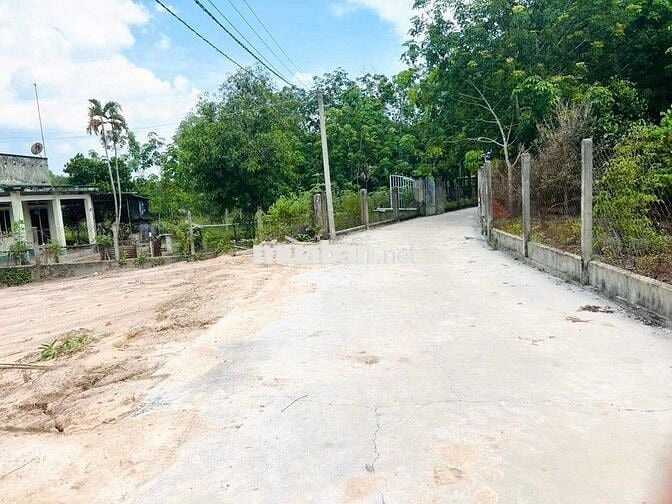 Cần bán đất thi trấn dầu tiếng ( nay là xã dầu tiếng) TP HCM