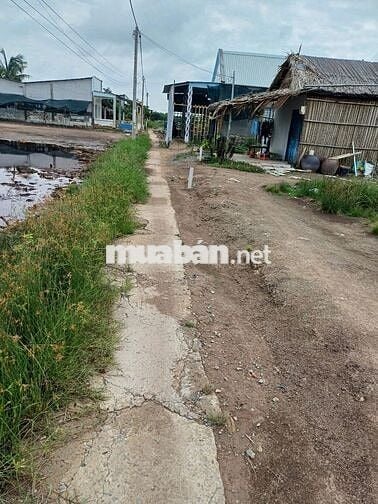 Bán đất 2.996m² chính chủ – An Thới Đông, Cần Giờ