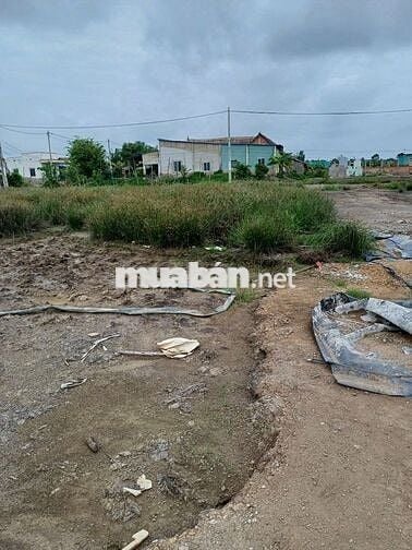 Bán đất 2.996m² chính chủ – An Thới Đông, Cần Giờ