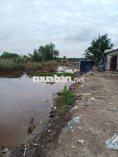 Bán đất 2.996m² chính chủ – An Thới Đông, Cần Giờ