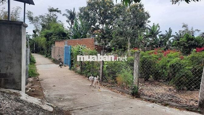 Chính chủ sổ hồng riêng công chứng ngay 426m 2 mặt tiền