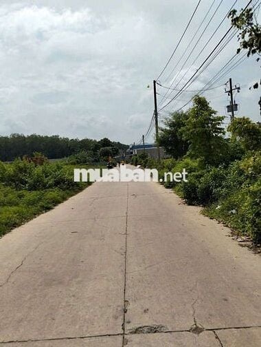 đường Lai uyên 52 -Hồ Chí minh giá chỉ 800tr
