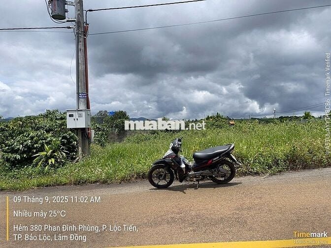 Đất Bảo Lộc - Phan Đình Phùng, 163m² (5mx31m) thổ cư, giá chỉ 1.3 tỷ