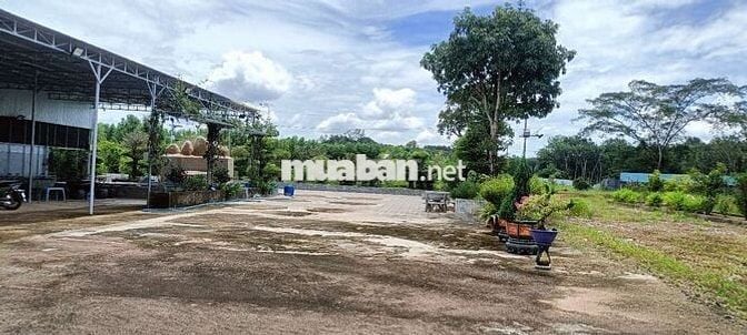 💥 CƠ HỘI VÀNG – ĐẤT MẶT TIỀN DT720 CỰC HIẾM 💥