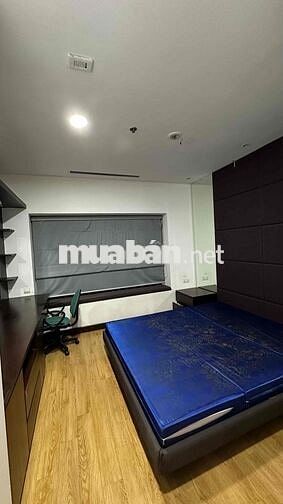 Cho thuê căn hộ 2n1k Hoà Bình Green 376 đường Bưởi