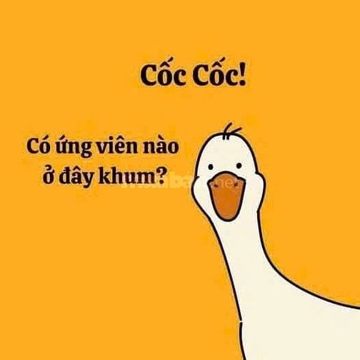 💥TUYỂN NHÂN VIÊN PART TIME/FULL TIME TẠI TP. HỒ CHÍ MINH 