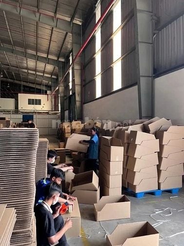 TUYỂN DỤNG NHÂN VIÊN PHỤ KHO - ĐÓNG GÓI TẠI CỦ CHI