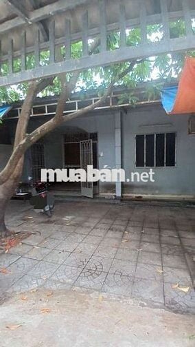 🏘️ Nhà 200m2 - 3 phòng 1/ Lê Thị Lơ,Tân Hiệp Hóc Môn 🏘️