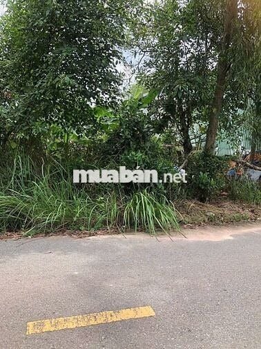 BÁN ĐẤT MẶT TIỀN ĐƯỜNG NGUYỄN VĂN THÀNH - HOÀ LỢI