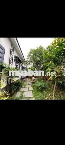 Nhà 1lung,3lau,5pn,4wc,sân đậu oto,hẽm xe tải né nhau,gần emart