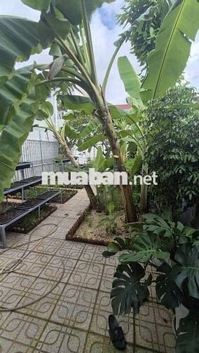Cho thuê nhà khu biệt thự tiamo Phú Thịnh Phú Thọ