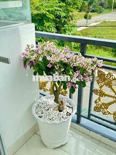 nhà giá rẻ , ngộp ở ctps 1 trệt 1 lầu 4x18 shr giá 1tỷ750tr
