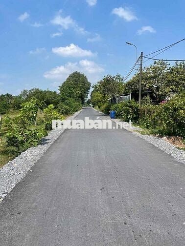 8X17 TẠI LÊ THỊ VUI. PHƯỚC HIỆP. GIÁ RẺ CHO KHÁCH TÀI CHÍNH THẤP. SHR
