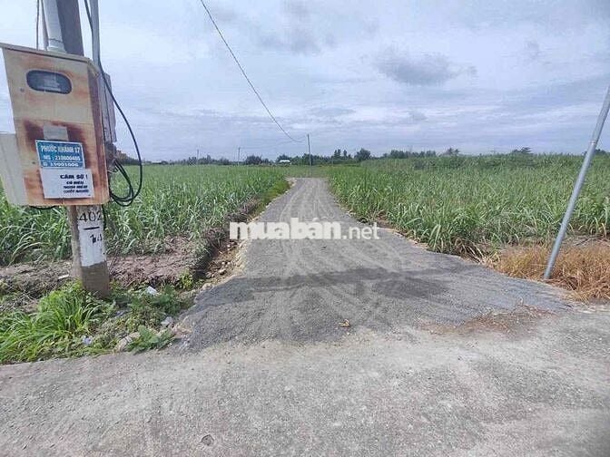 đất vườn phước khánh giá cực kì rẻ