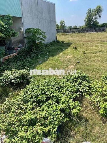 8X17 TẠI LÊ THỊ VUI. PHƯỚC HIỆP. GIÁ RẺ CHO KHÁCH TÀI CHÍNH THẤP. SHR