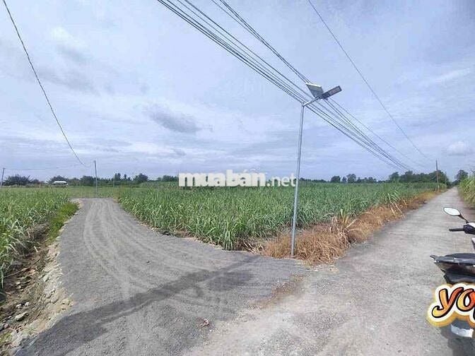 đất vườn phước khánh giá cực kì rẻ