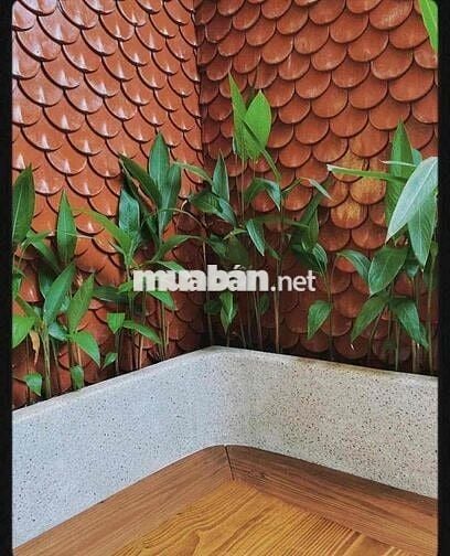 Nhà phố Dì ruột bán!!! nhà đẹp và mặt tiền 2 xe oto tránh nhau
