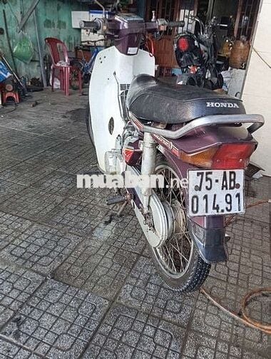 Xe dream 50cc cho các bạn học sinh