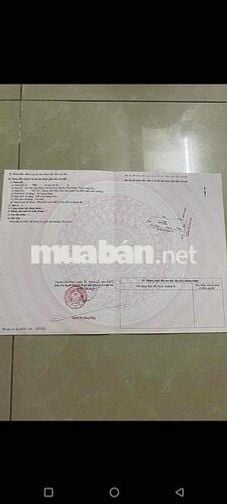 Đất Chính Chủ Mỹ Lệ Cần Đước Long An