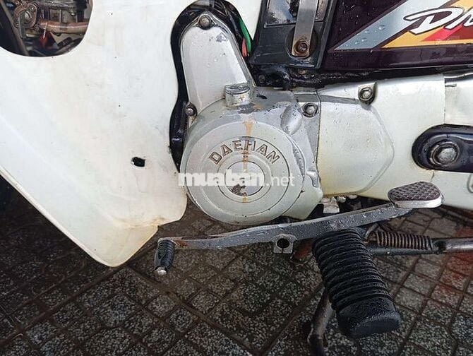 Xe dream 50cc cho các bạn học sinh