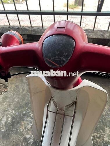 bán cúp 50 biển số 83
