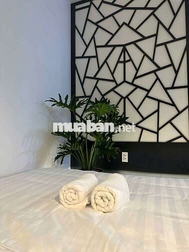 🌿 Căn Hộ Mini Xịn Sò – Góc Sống Ảo Ngàn Like, Qua Gò Vấp Siêu Gần 🌿