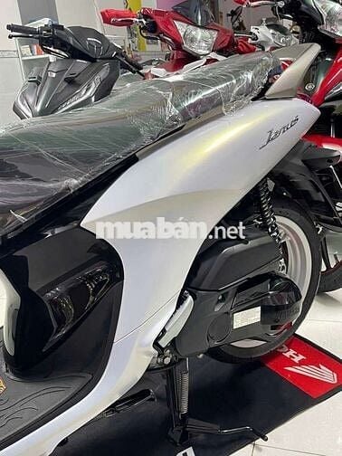 Yamaha Janus 2022