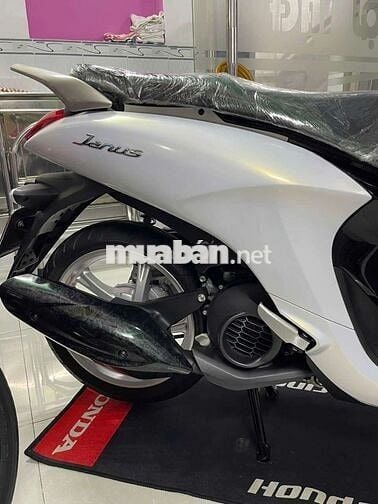 Yamaha Janus 2022