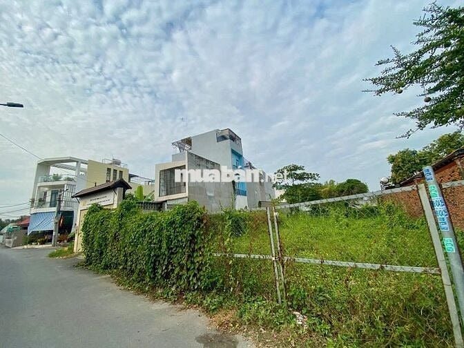 Ngộp bank cần bán đất hẻm 1,Đ.Phạm Thế Hiển,Q8 55m,SHR