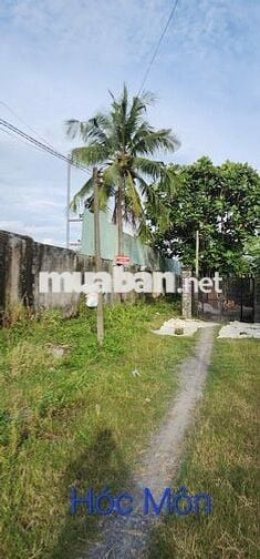 Chính chủ bán đất DT 2967m2 Đông Thạnh 2-Huỳnh Thị Na, Hóc Môn, TPHCM