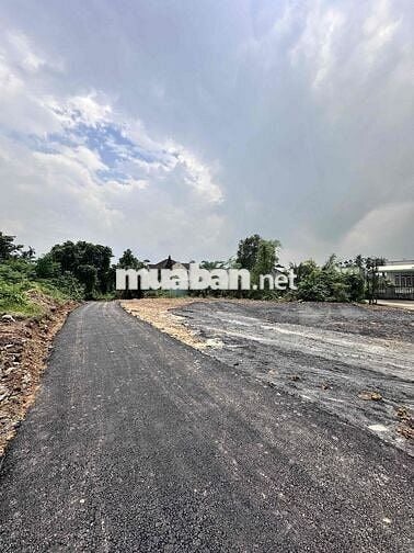 - Dự án mới 9 lô đất phường Biên Hoà thuộc phường Bửu Hoà cũ.
