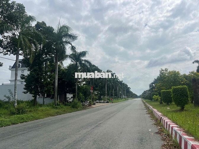 Bán 2 Nền Biệt Thự Đường lớn 47m Cạnh AEON MALL Siêu Thị Nhật Bản