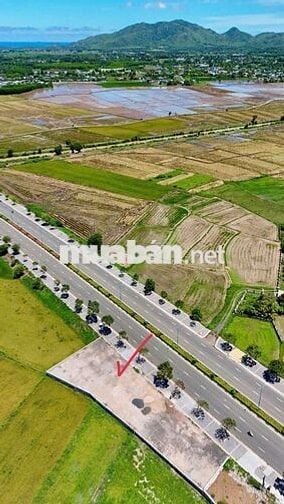 Mặt tiền tỉnh lộ 44A - Phước Hội - Long Đất -BRVT.  Cách biển 3km