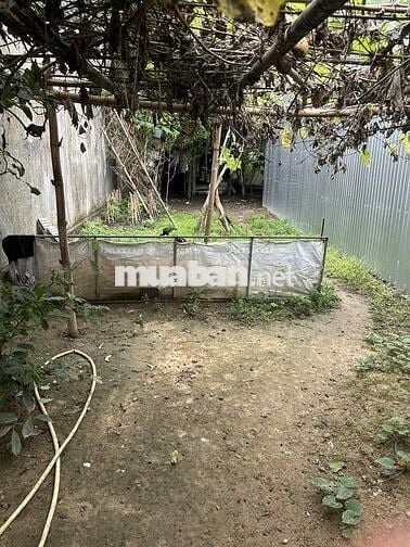 Bán Lô Đất chính chủ Kiệt 109 đường Minh Mạng - Tp Huế