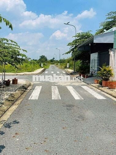 Bán gấp đất Bình mỹ 82m2 chỉ 1,6 tỷ, SHR, HXH
