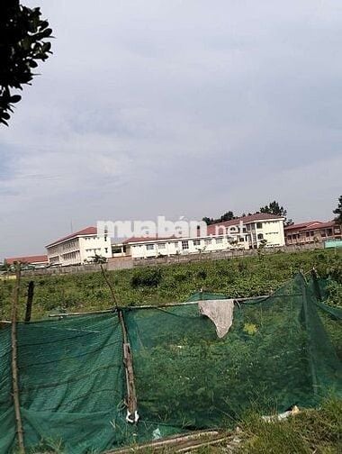 Đất gần sân bay quốc tế long thành