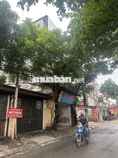 Xuân Đỉnh 36m2 đất, sổ vuông như tờ A4