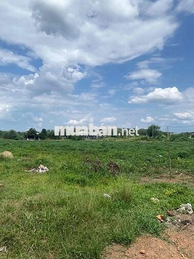 Cần bán lô đất vườn 20x52 hơn 1000m2 bán 290 triệu