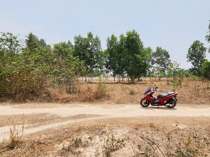 Chủ cần bán lô đất ở vuông vức 25.5mx39.5m, đường ô tô 1 sẹc, 3.3ty