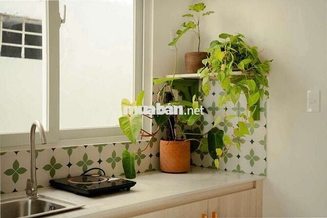 Cho thuê căn hộ full nội thất Quận 1 - Trần Hưng Đạo gần Chợ Bến Thành